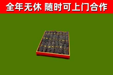 岚山回收海参